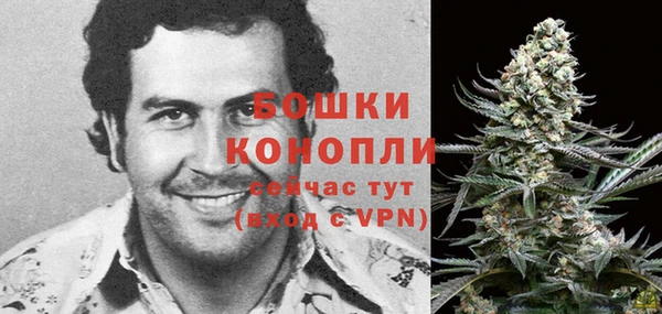 PSILOCYBIN Белоозёрский
