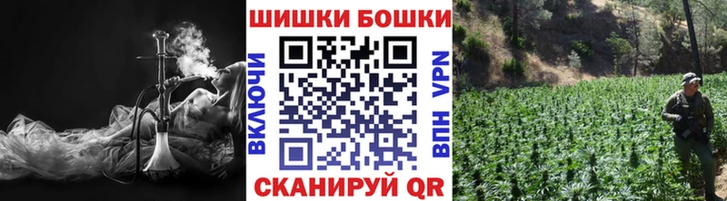 Конопля индика Буйнакск